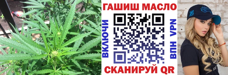 omg tor  Юрга  ТГК THC oil  закладка 