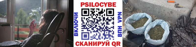 Псилоцибиновые грибы MAGIC MUSHROOMS Юрга